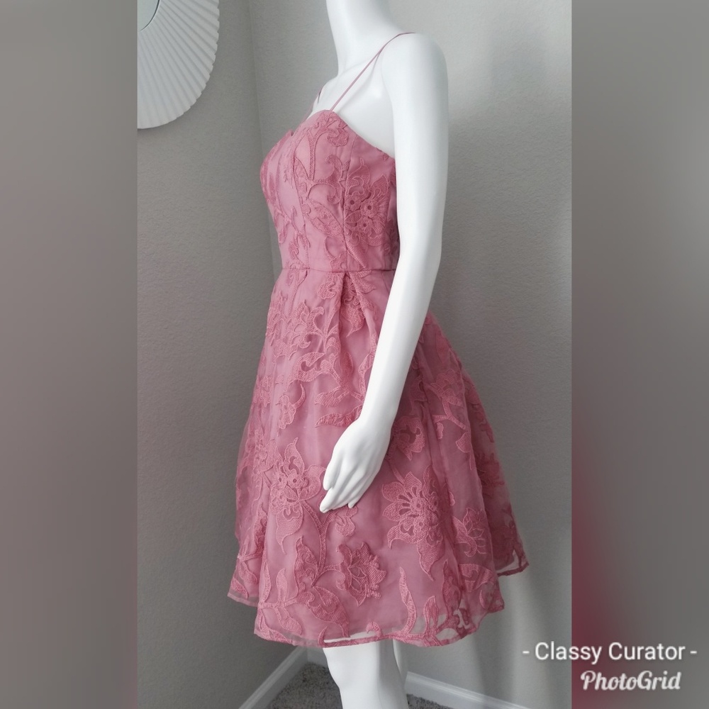 NWT Gorgeous rose burnout embroidered mesh dress - Picture 5 of 6